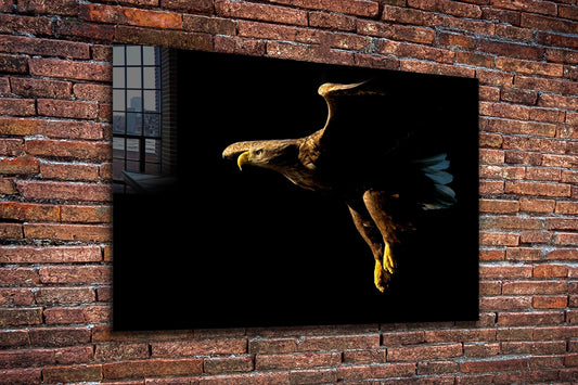Flying Eagle, Large Glass Wall Art
