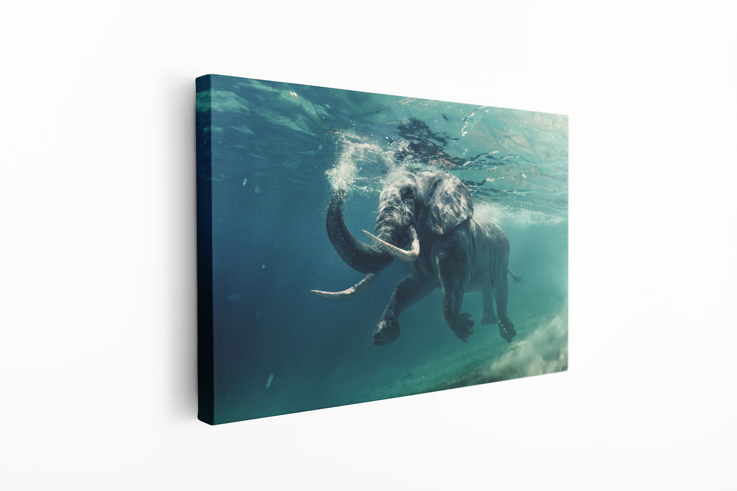 Elephant in the Sea, Large Glass Wall Art