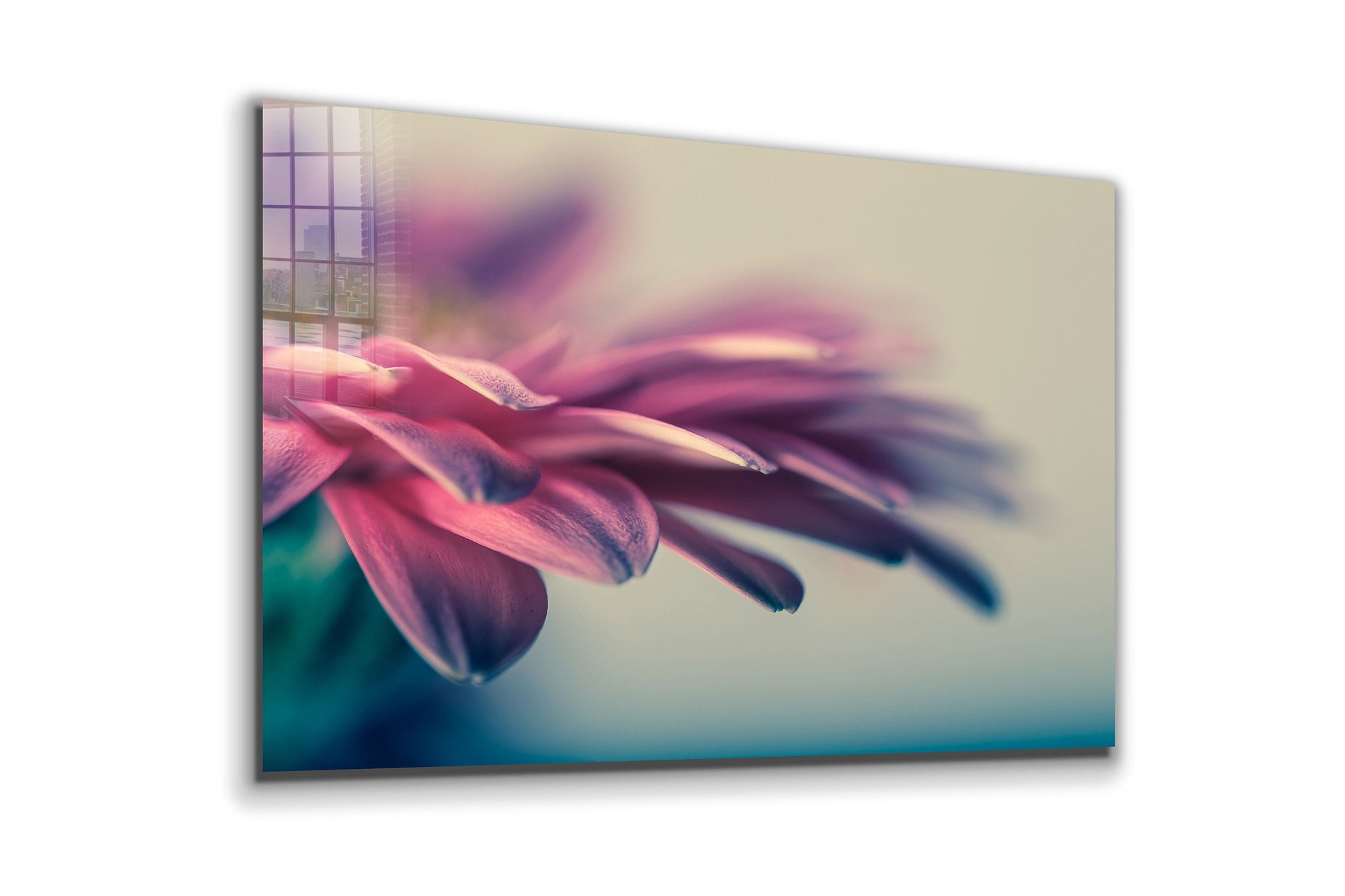 Flower Close Up, Large Glass Wall Art