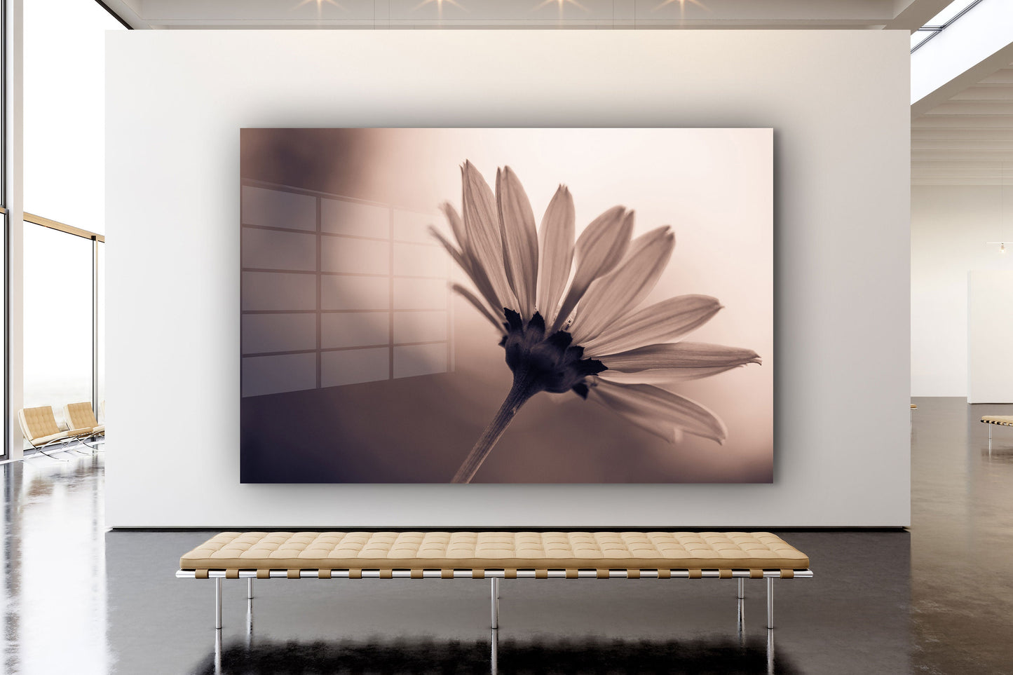Dandelion, Large Glass Wall Art