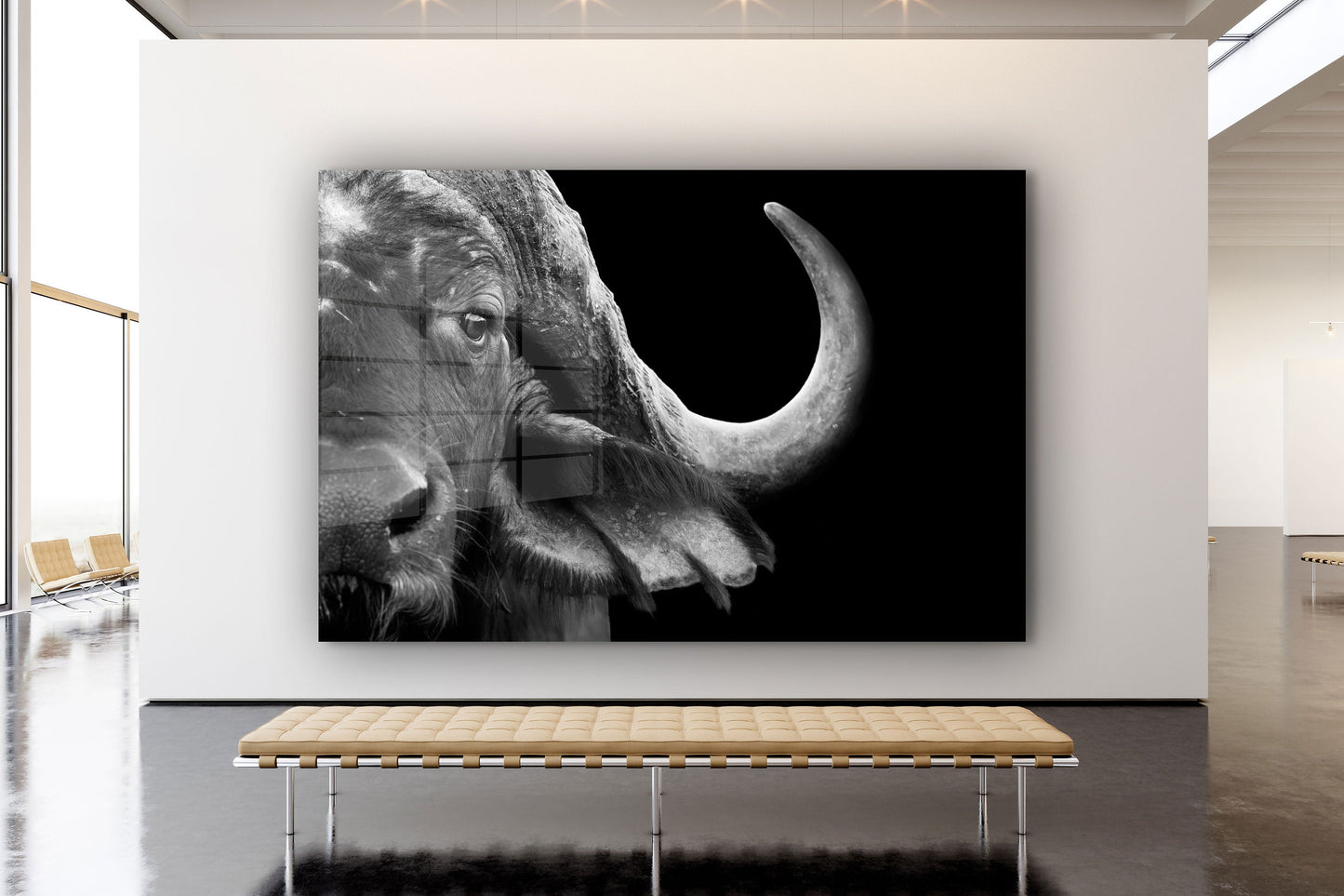 Buffalo, Large Glass Wall Art