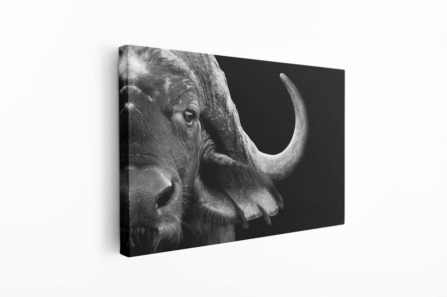 Buffalo, Large Glass Wall Art