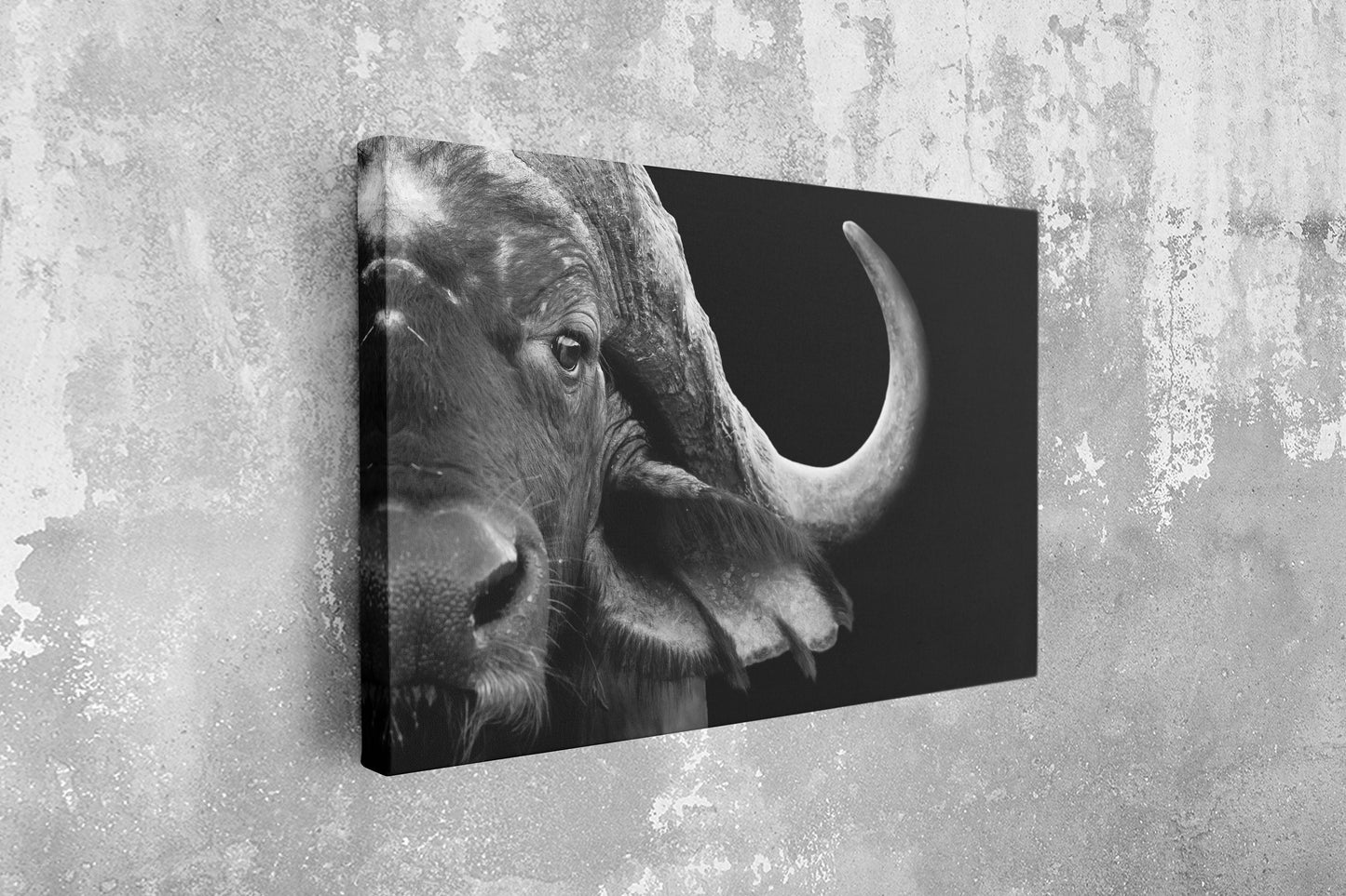 Buffalo, Large Glass Wall Art