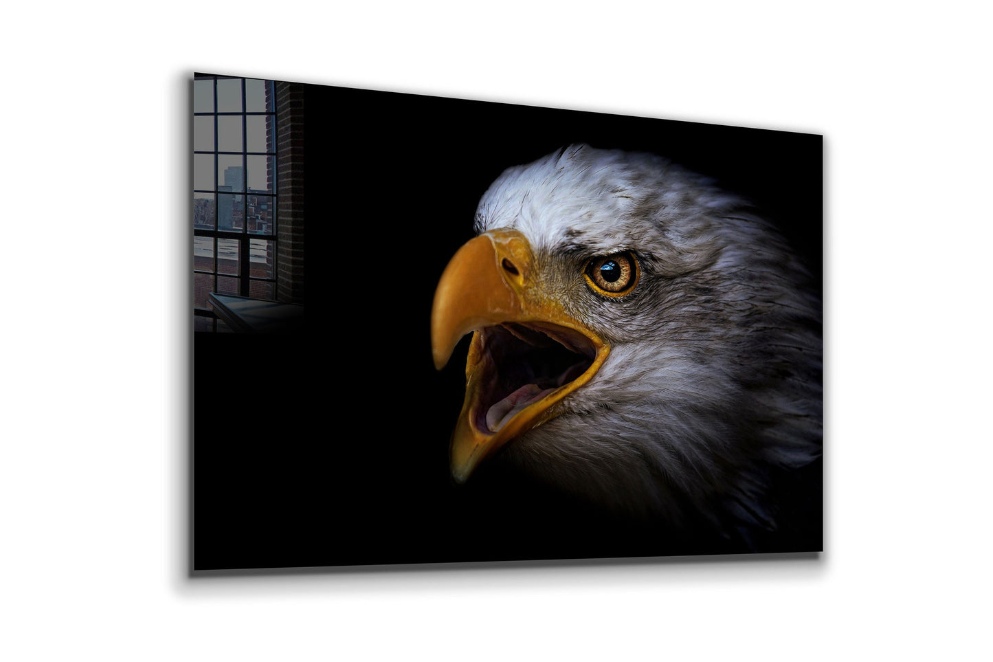 Eagle, Large Glass Wall Art