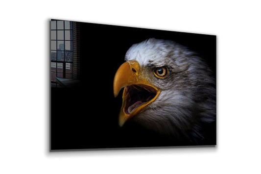 Eagle, Large Glass Wall Art