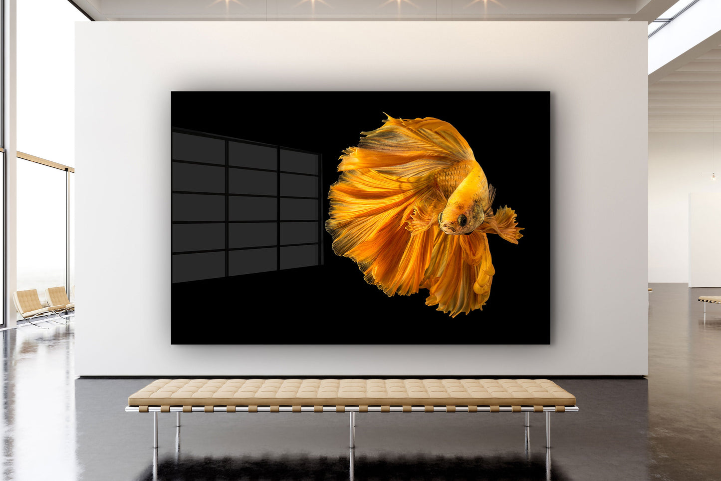Siamese Fighting Fish, Large Glass Wall Art