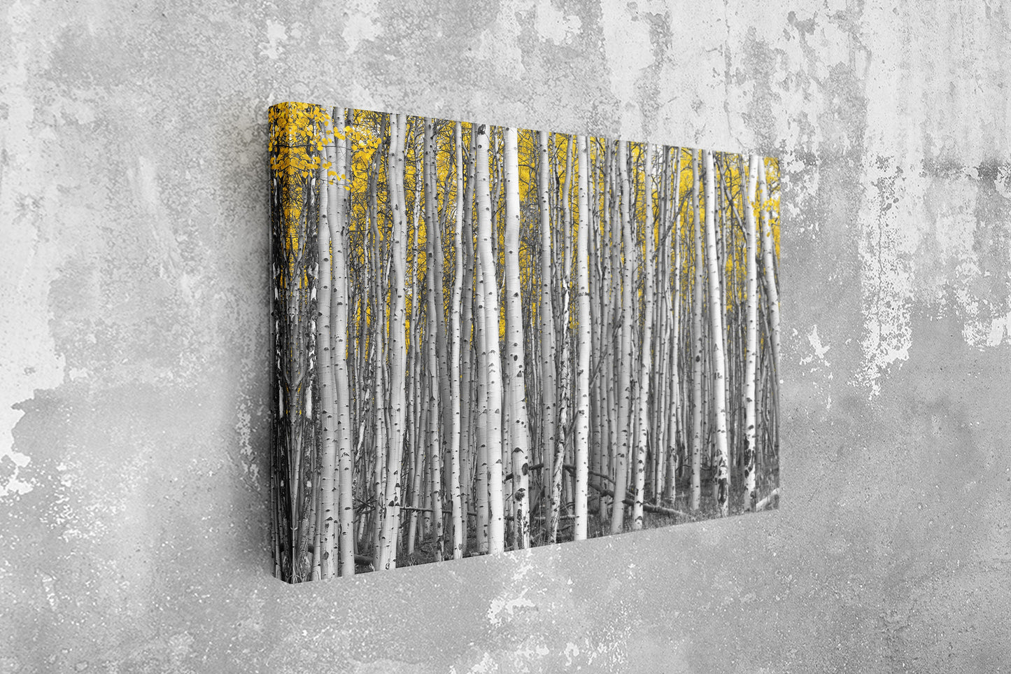 Birch Forest, Large Glass Wall Art