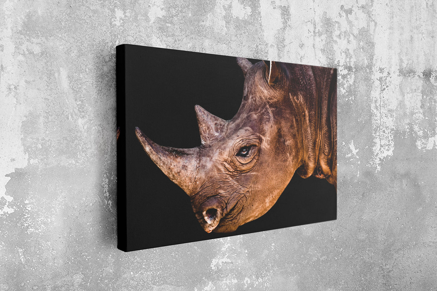 Rhino, Large Glass Wall Art