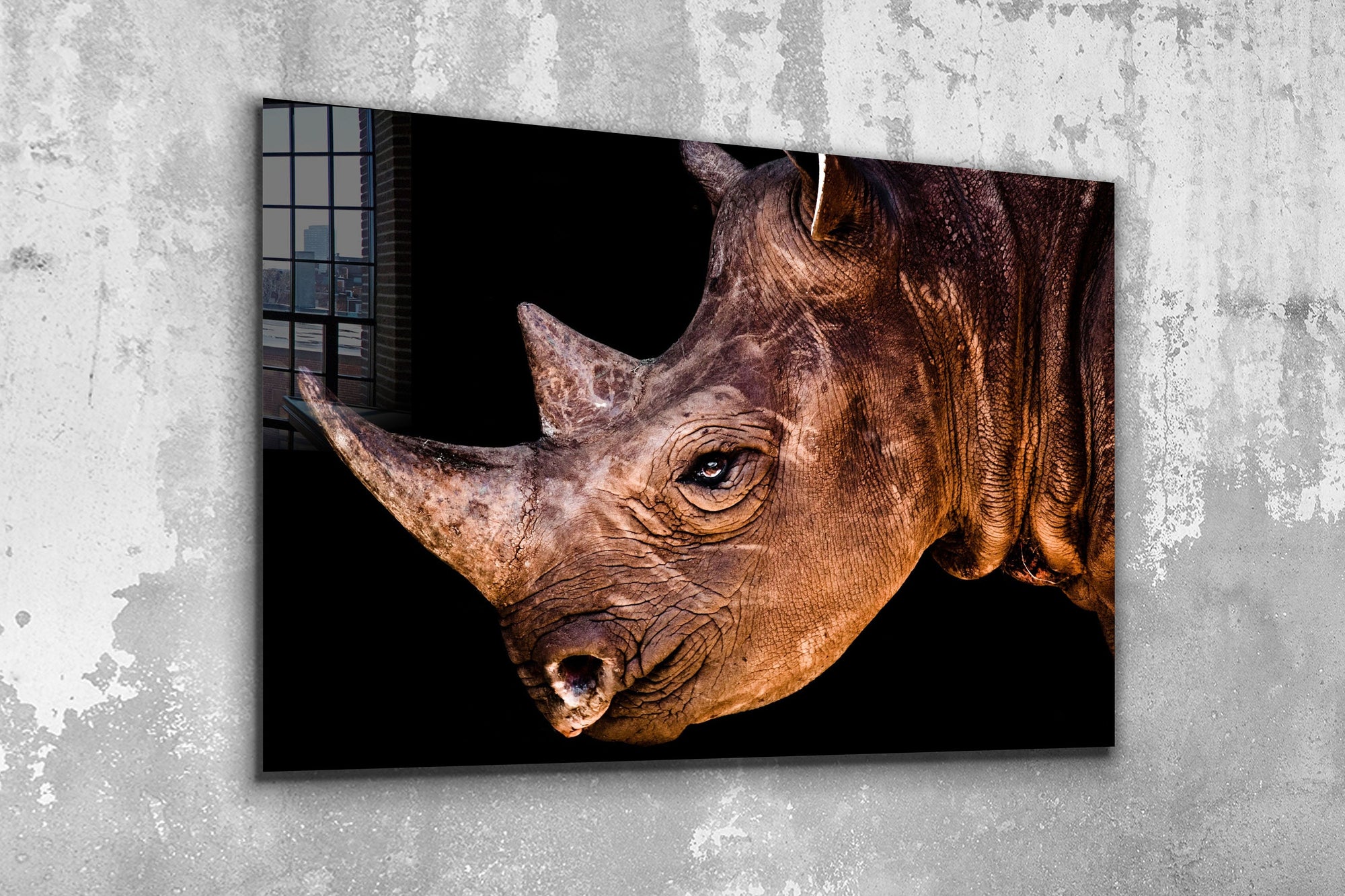 Rhino, Large Glass Wall Art