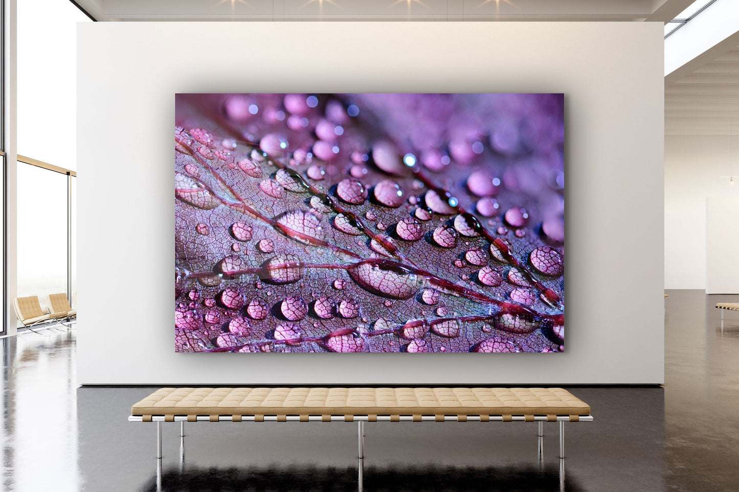 Drops on Leaf Close Up, Large Glass Wall Art