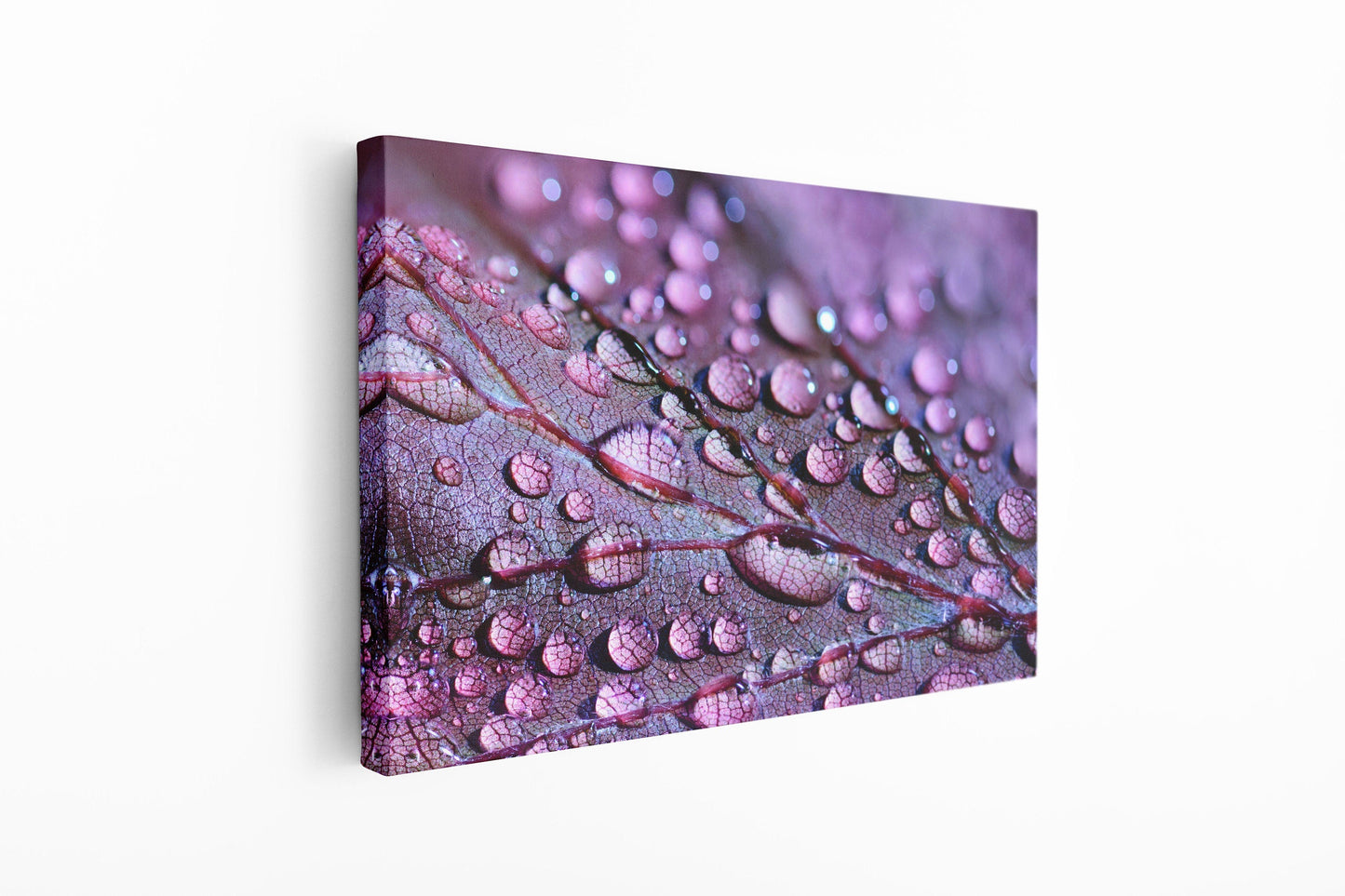 Drops on Leaf Close Up, Large Glass Wall Art