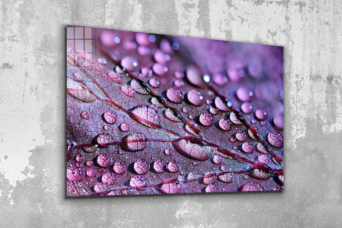 Drops on Leaf Close Up, Large Glass Wall Art