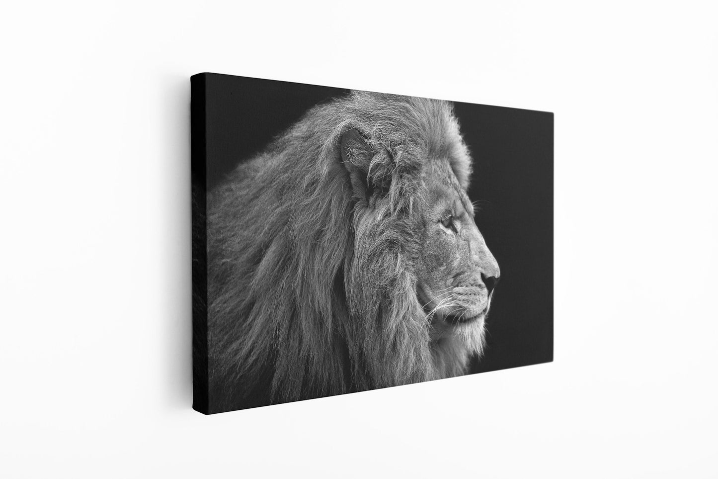Lion Black and White, Large Glass Wall Art