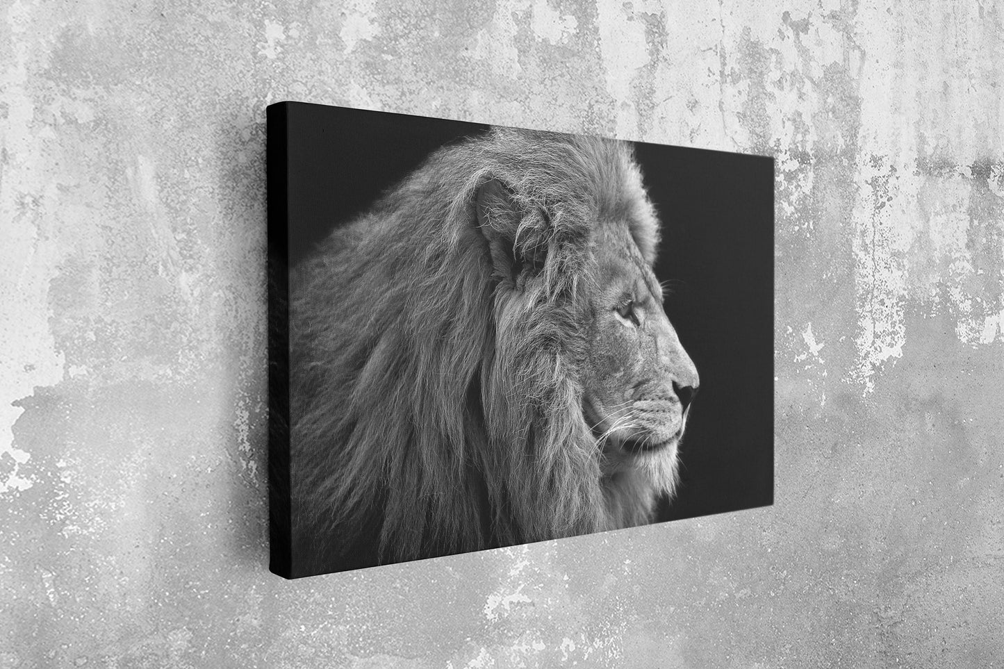 Lion Black and White, Large Glass Wall Art