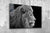 Lion Black and White, Large Glass Wall Art