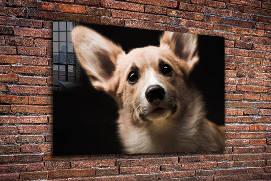 Cute Dog, Large Glass Wall Art
