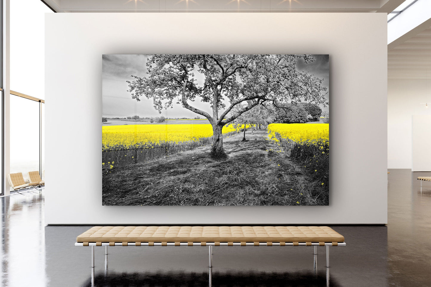 Lonely Tree, Large Glass Wall Art