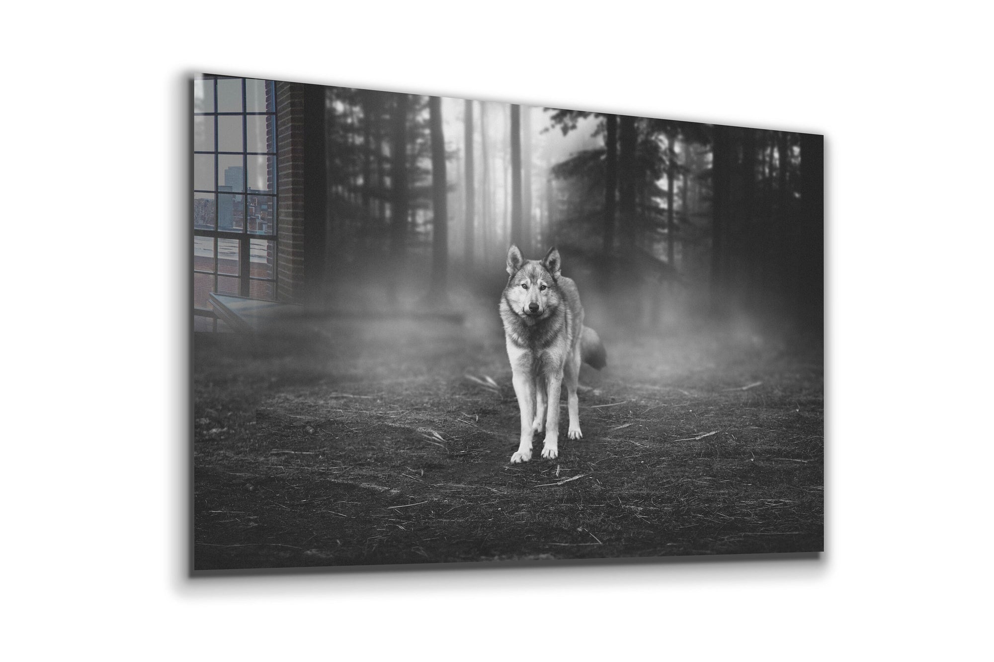 Wolf, Large Glass Wall Art