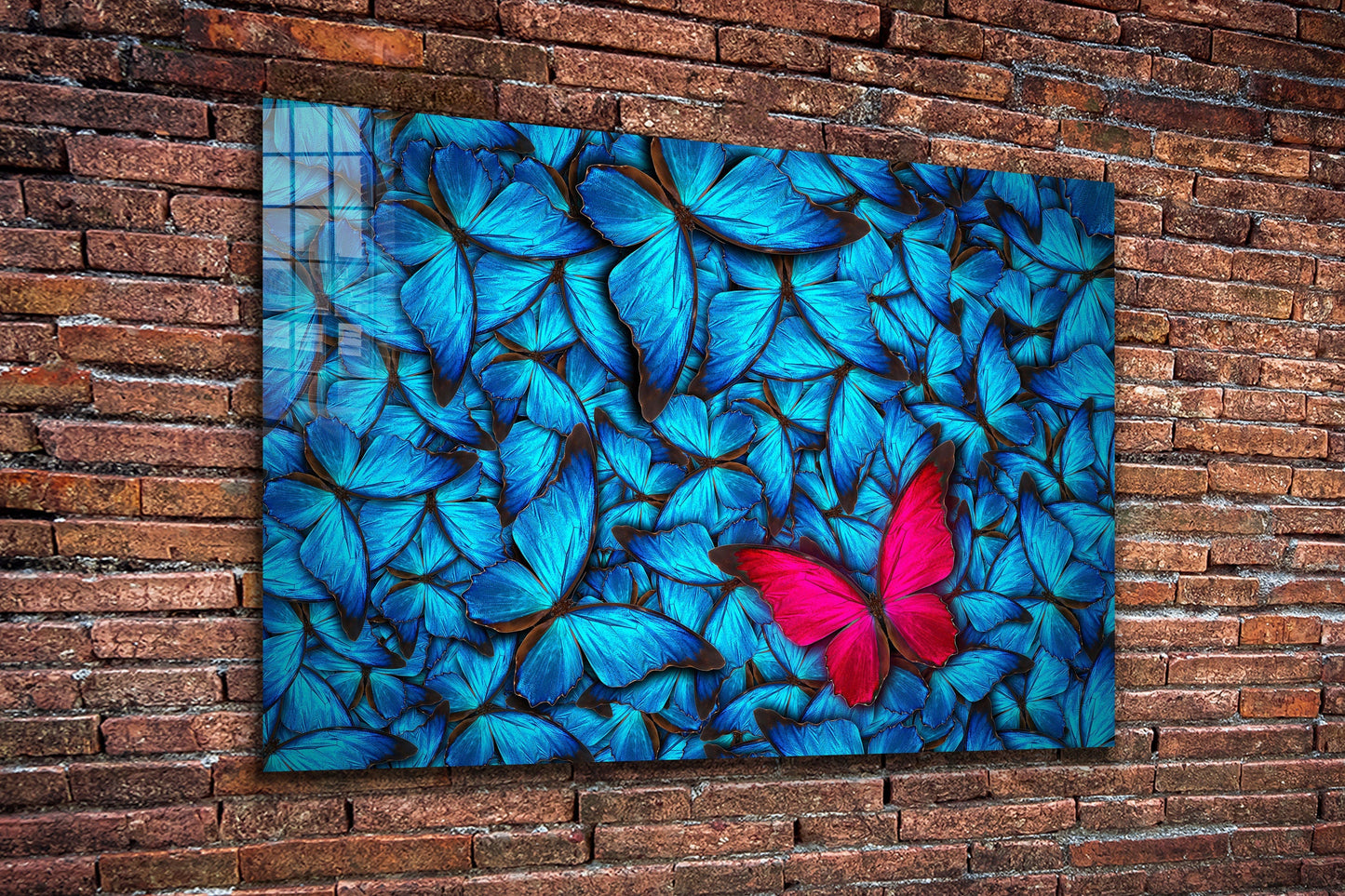 Butterflies, Large Glass Wall Art