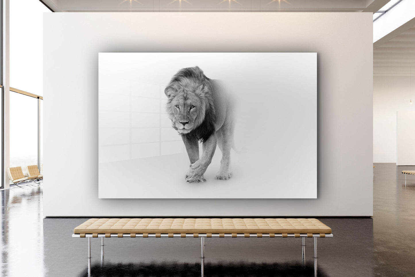 Lion, Large Glass Wall Art