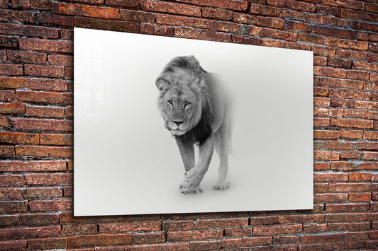 Lion, Large Glass Wall Art