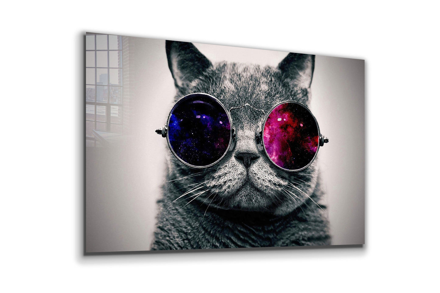 Cool Cat, Large Glass Wall Art