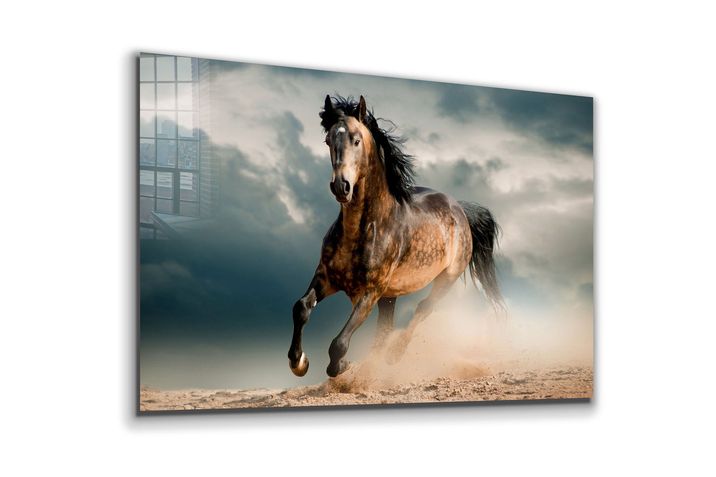 Beautiful Wild Horse, Large Glass Wall Art