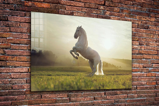 White Horse Large Glass Wall Art
