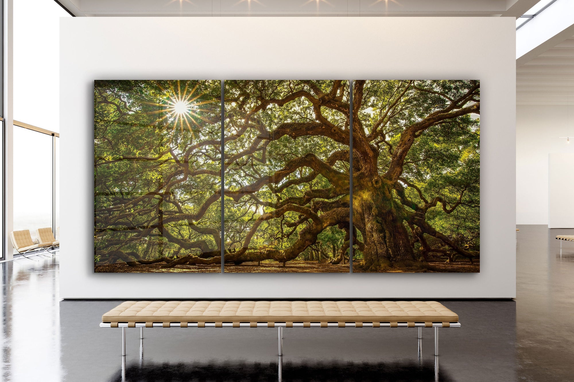 Giant Tree, Extra Large Glass Wall Art