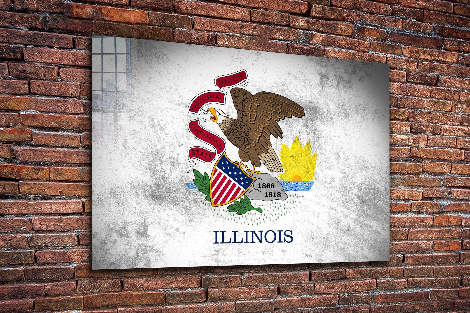 Illinois Grungy Flag, Large Glass Wall Art