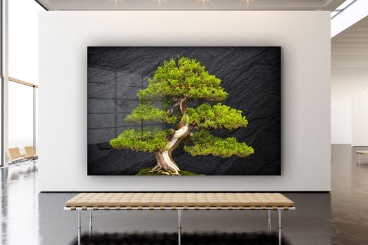 Pine Tree Bonsai, Large Glass Wall Art