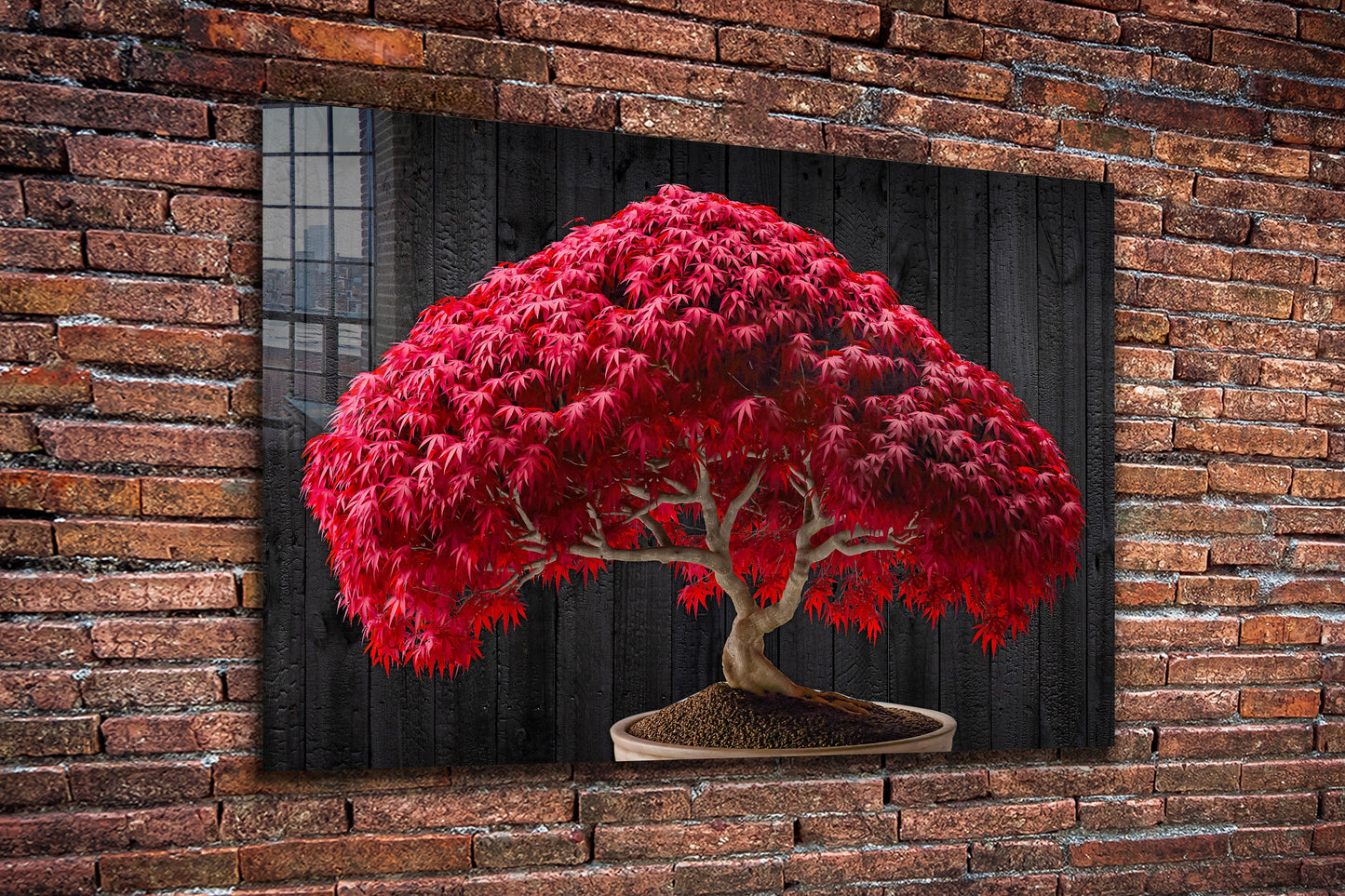 Red Maple Bonsai Tree, Large Glass Wall Art