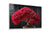 Red Maple Bonsai Tree, Large Glass Wall Art