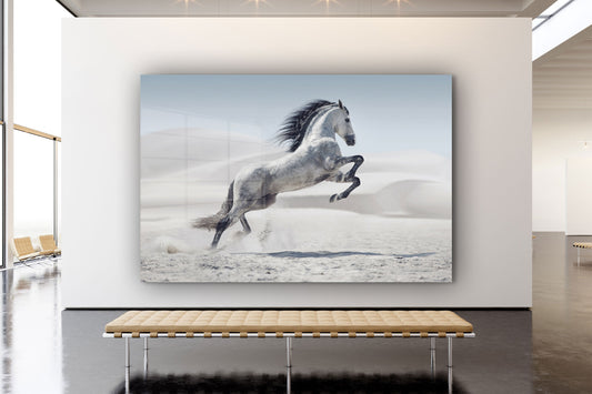 White Horse, Large Glass Wall Art