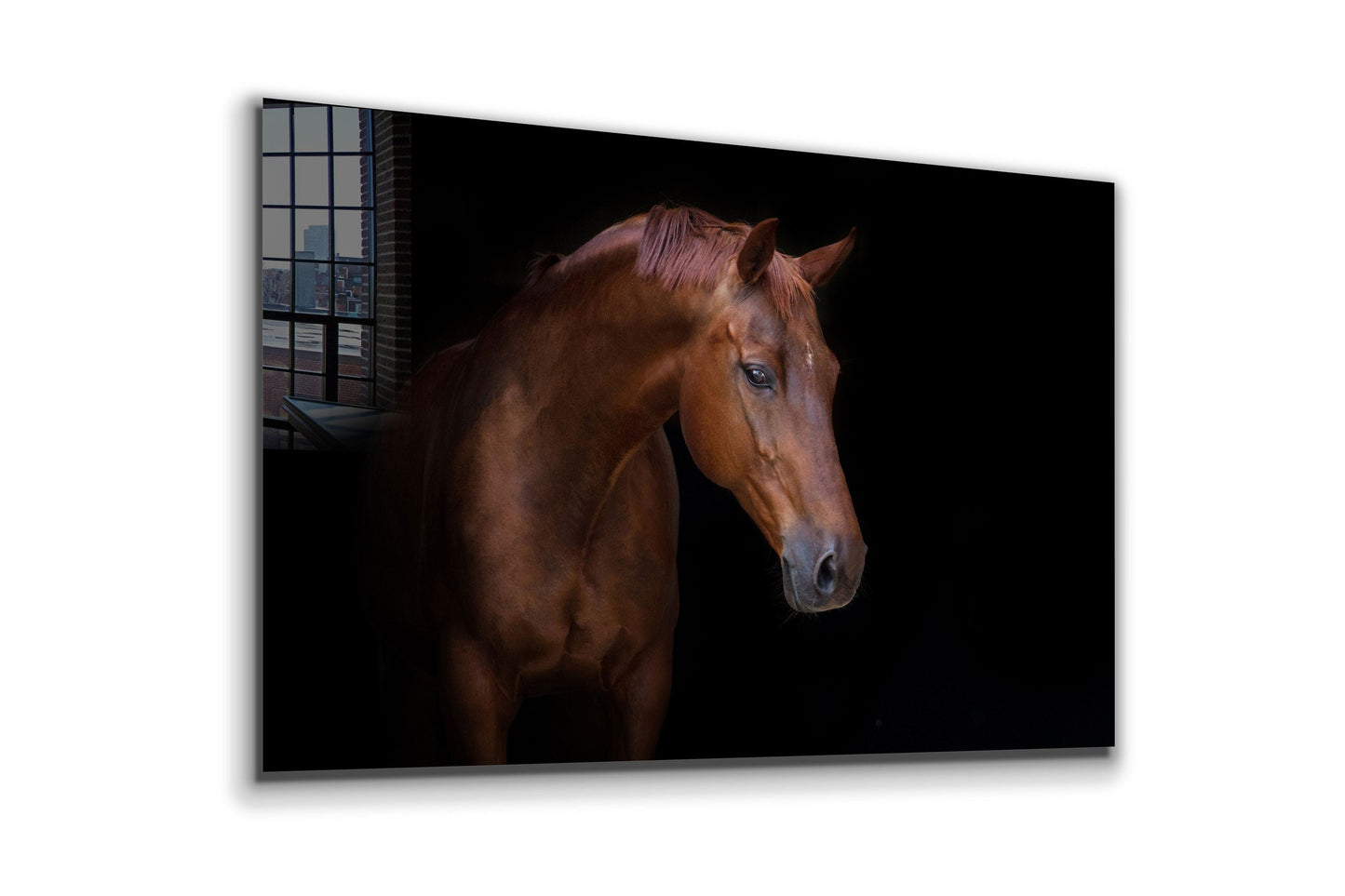 Brown Horse, Large Glass Wall Art
