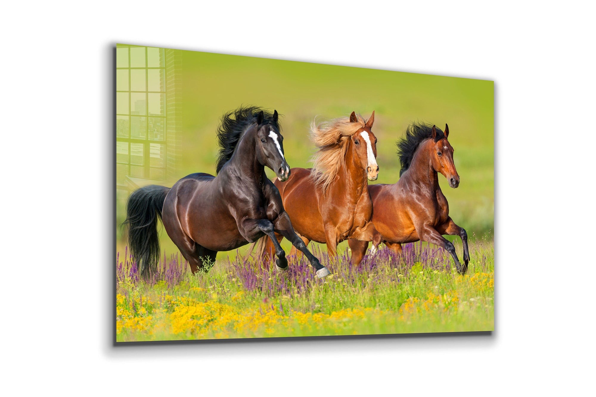 Running Horses, Large Glass Wall Art