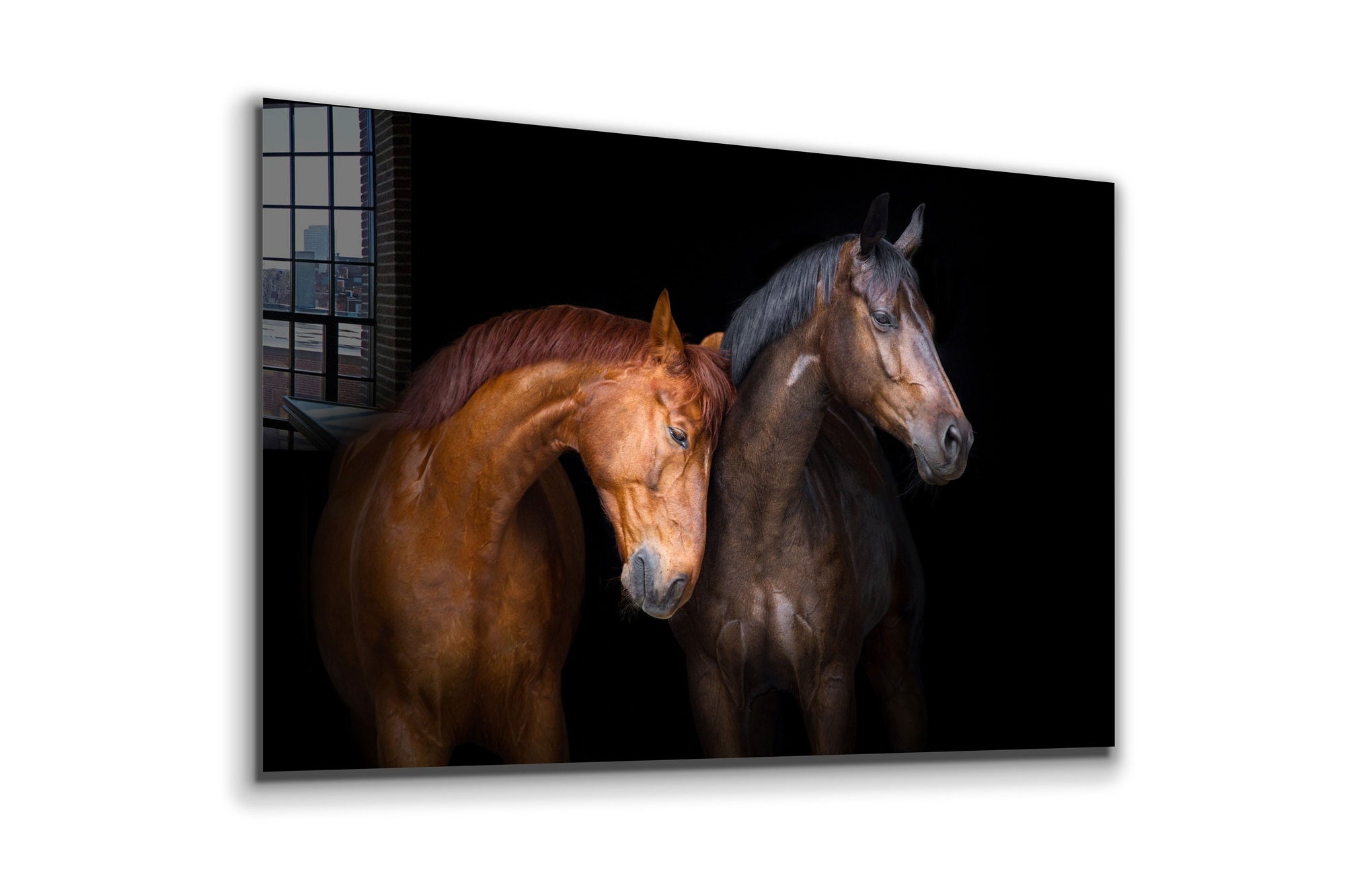 Horses, Large Glass Wall Art