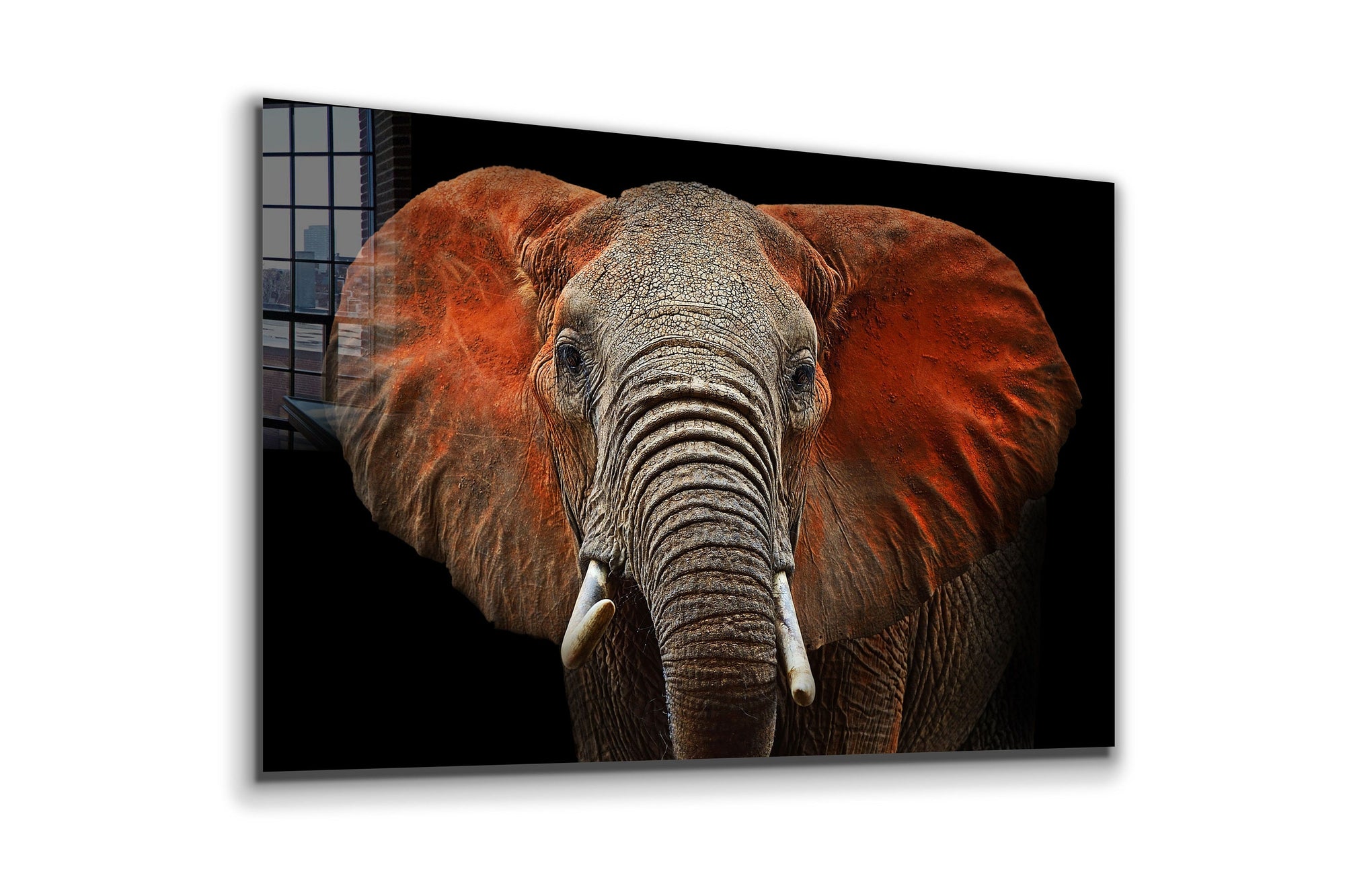 Elephant Large Glass Wall Art