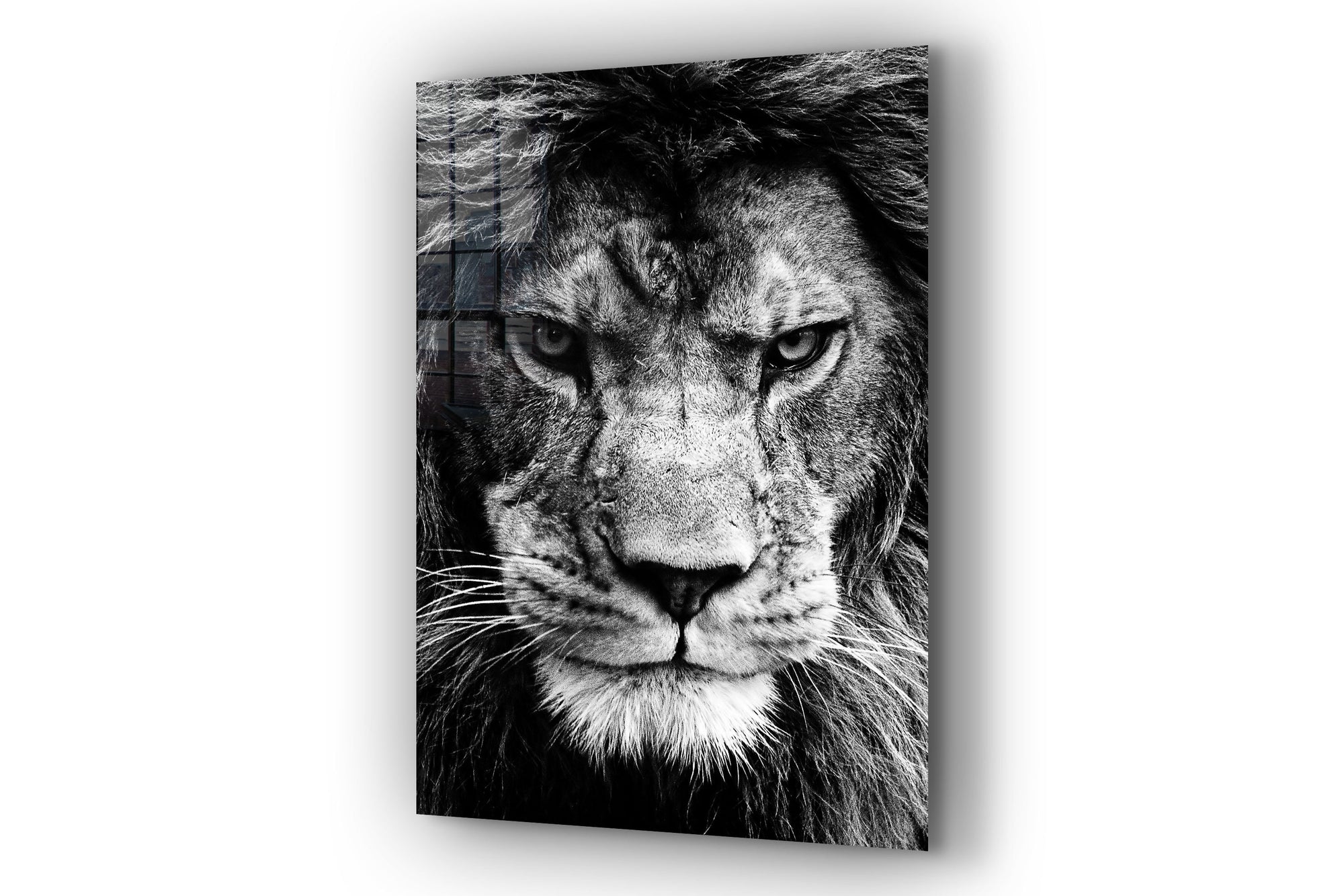 Lion Large Glass Wall Art