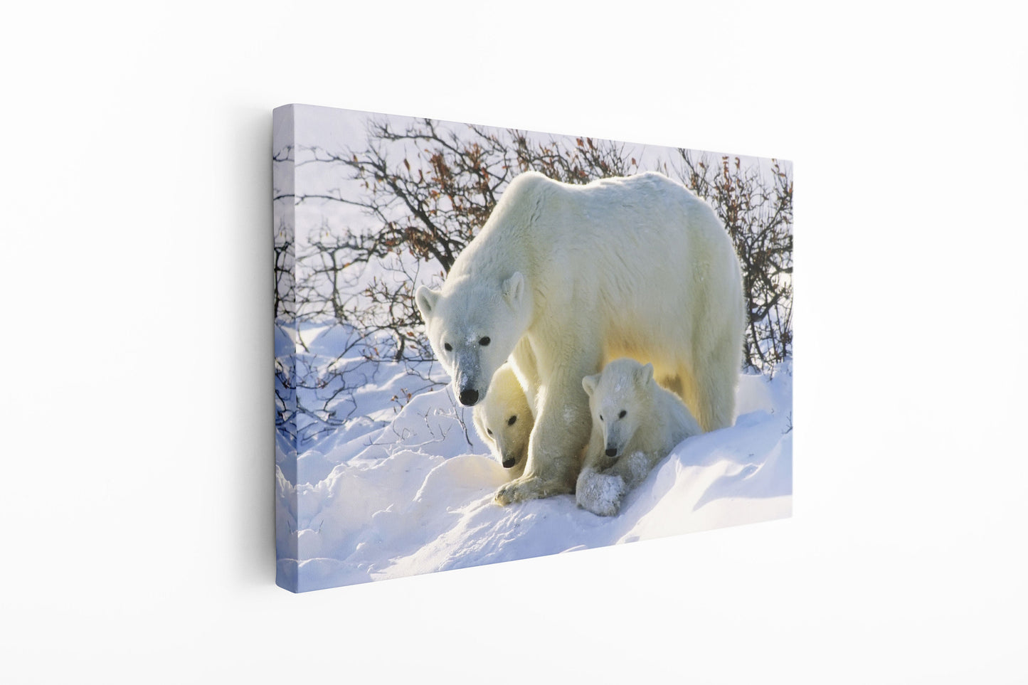 Polar Bear Family, Large Glass Wall Art