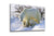 Polar Bear Family, Large Glass Wall Art