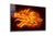 Fire Dragon, Large Glass Wall Art