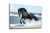 Black Horse, Large Glass Wall Art