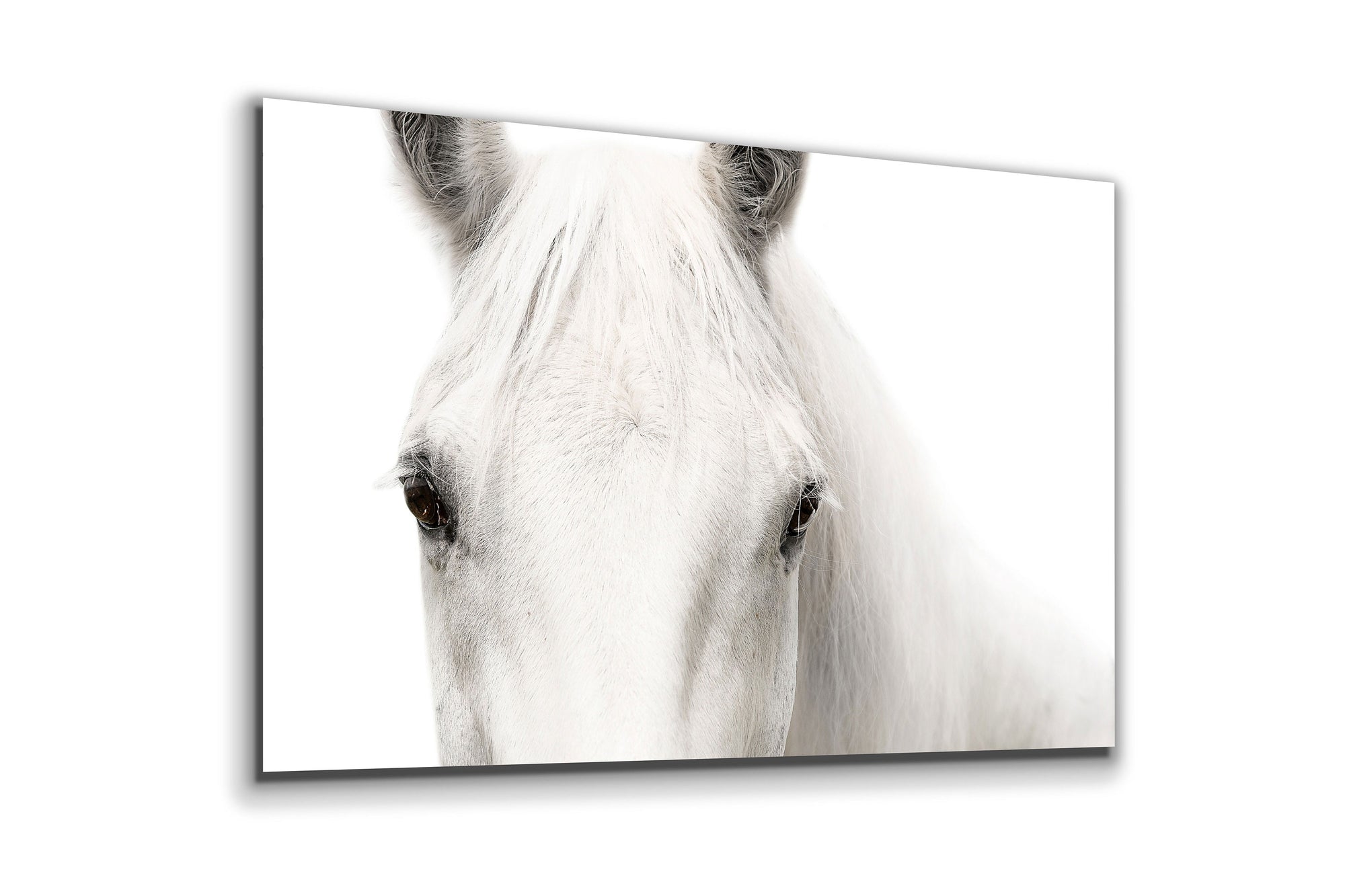 White Horse Large Glass Wall Art