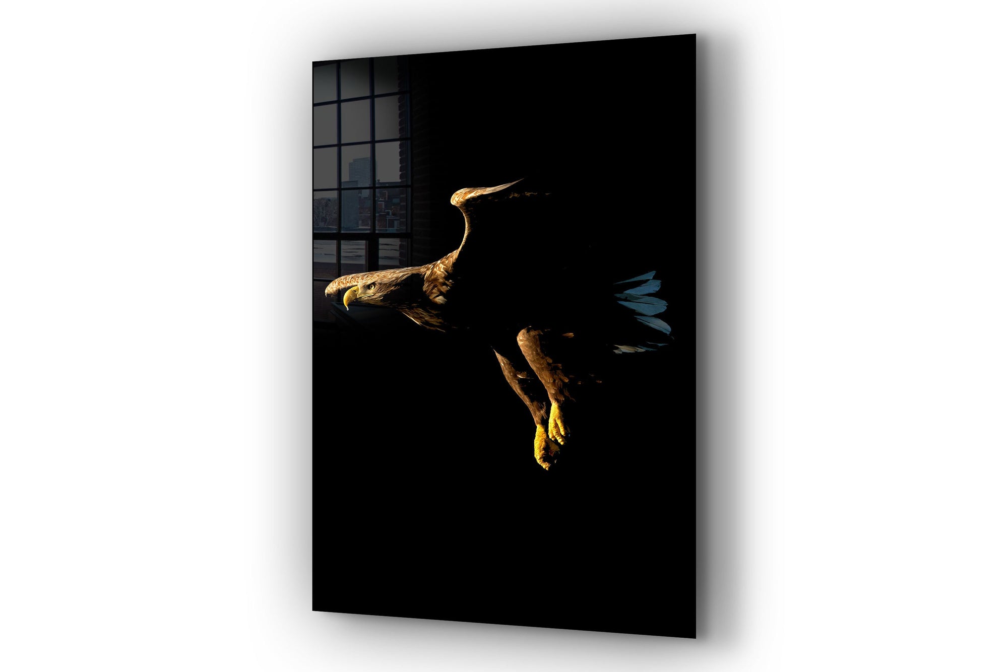 Eagle Large Glass Wall Art