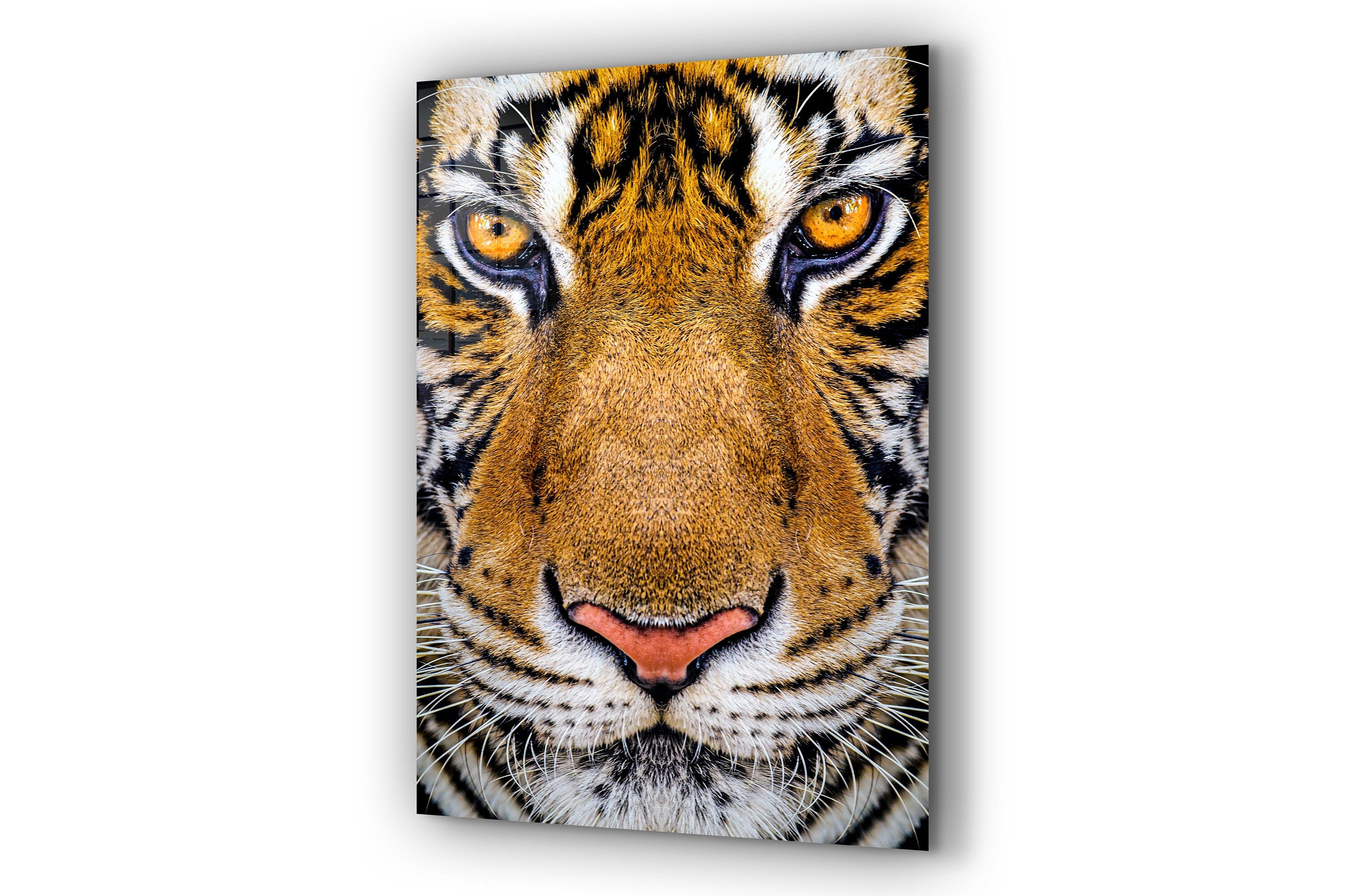 Tiger Large Glass Wall Art - TemperedGlassWallArt