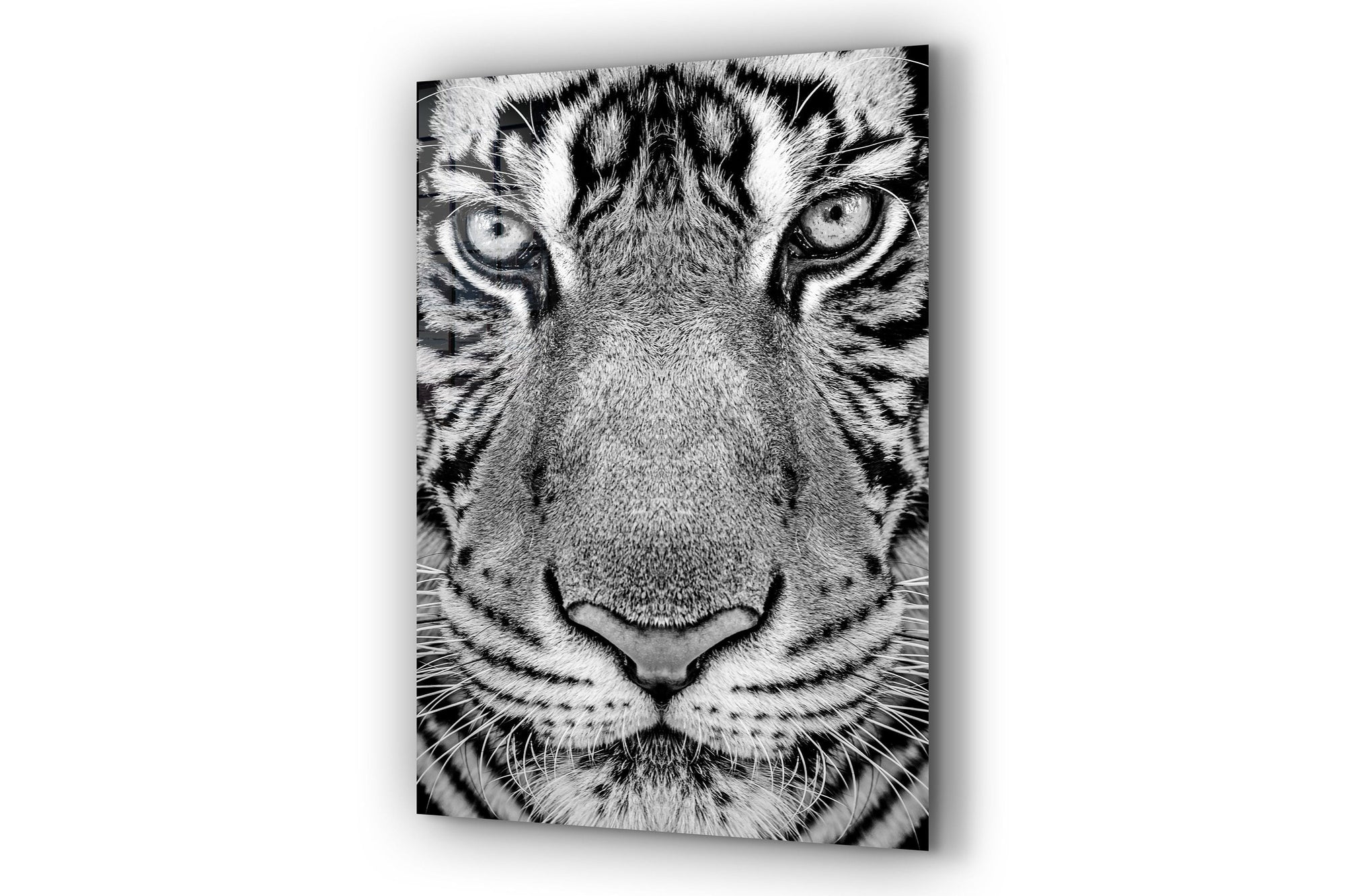 Leopard Large Glass Wall Art